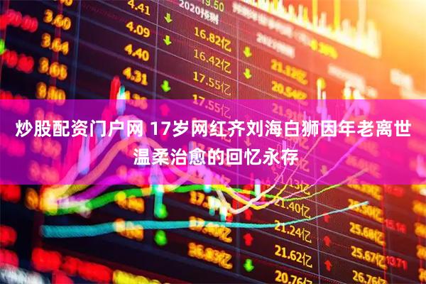 炒股配资门户网 17岁网红齐刘海白狮因年老离世 温柔治愈的回忆永存